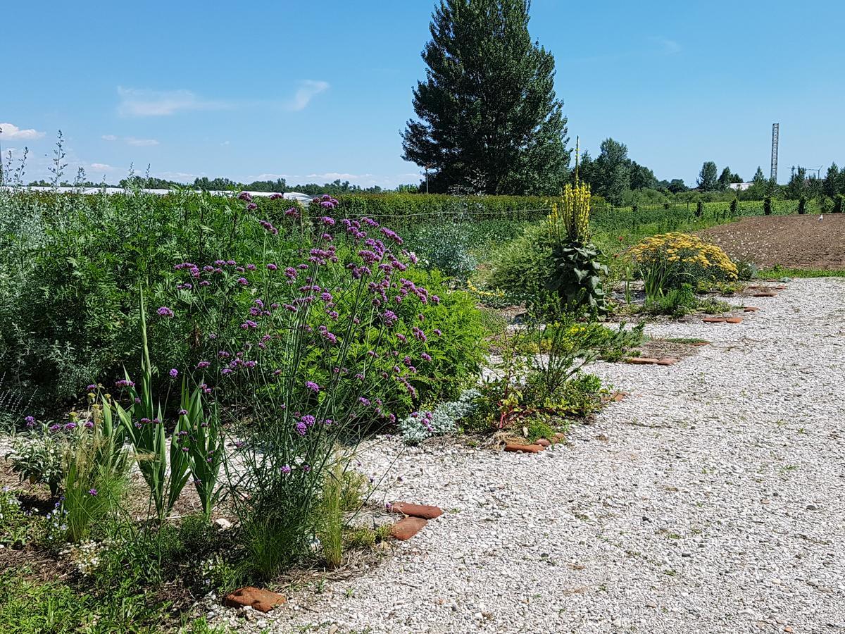 Вилла Agriturismo Frascje Dai Spadons Pradamano Экстерьер фото